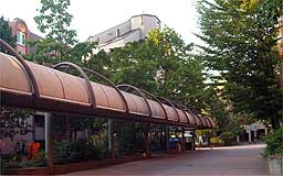 Nachbarschaft Paula in Langwasser